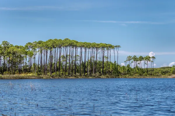 $2,595,000 | 114 Sunset Ridge Lane, Santa Rosa Beach, FL 32459