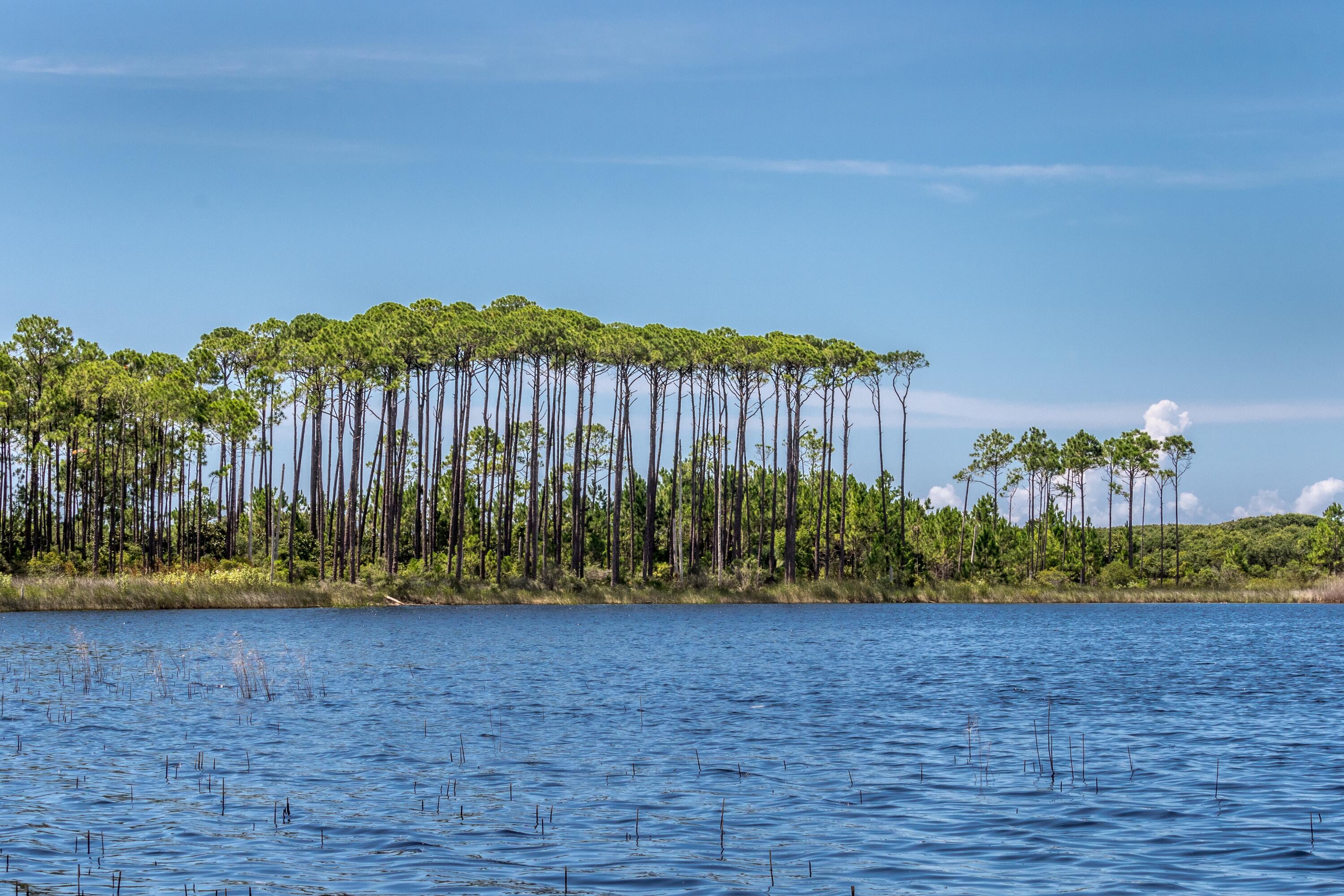 114 Sunset Ridge Lane Santa Rosa Beach, FL 32459 - Photo 90 of 90 Western Lake-117
