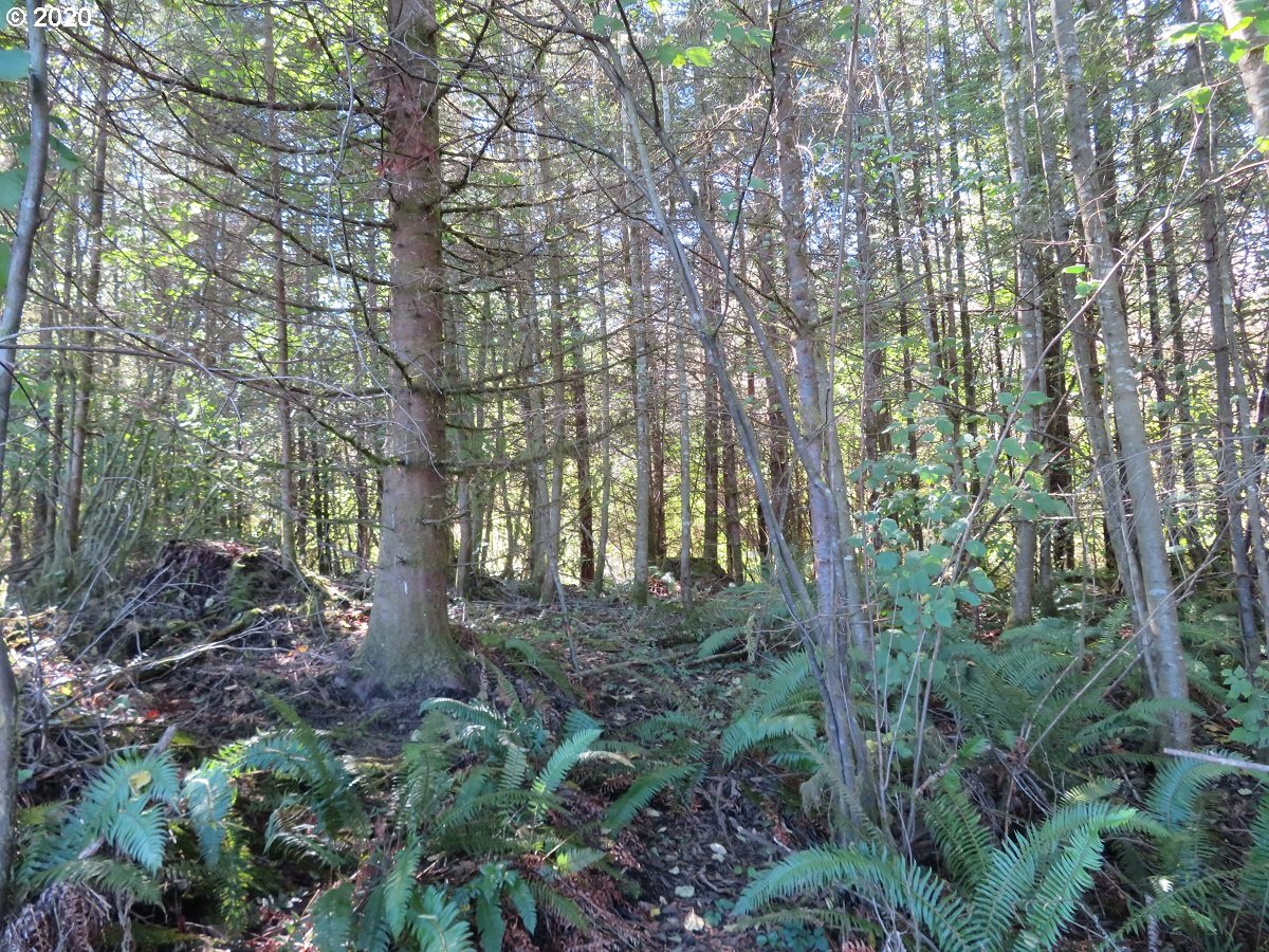 140th Avenue Rochester, WA 98579 - Photo 20 of 21