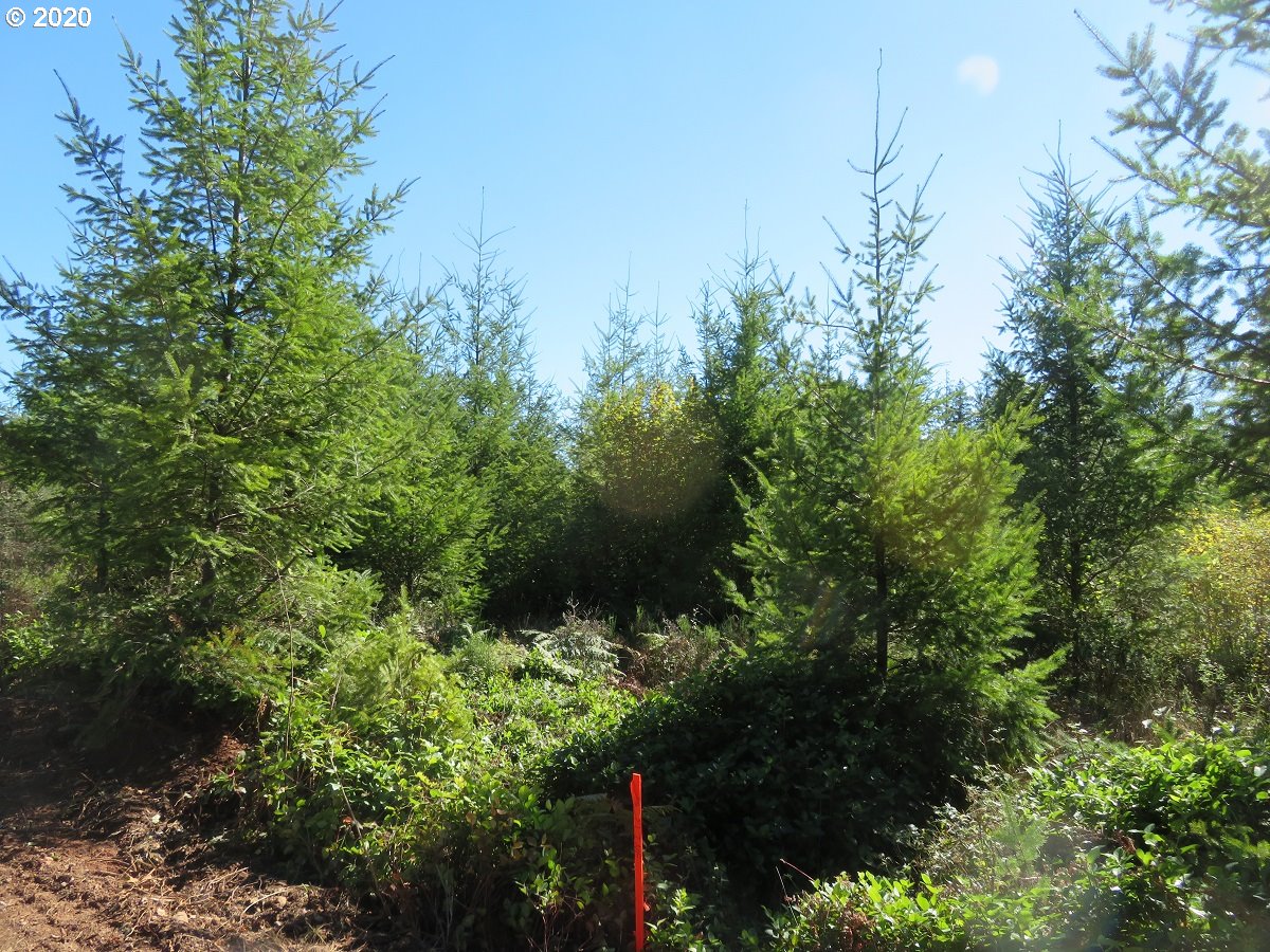 140th Avenue Rochester, WA 98579 - Photo 21 of 21