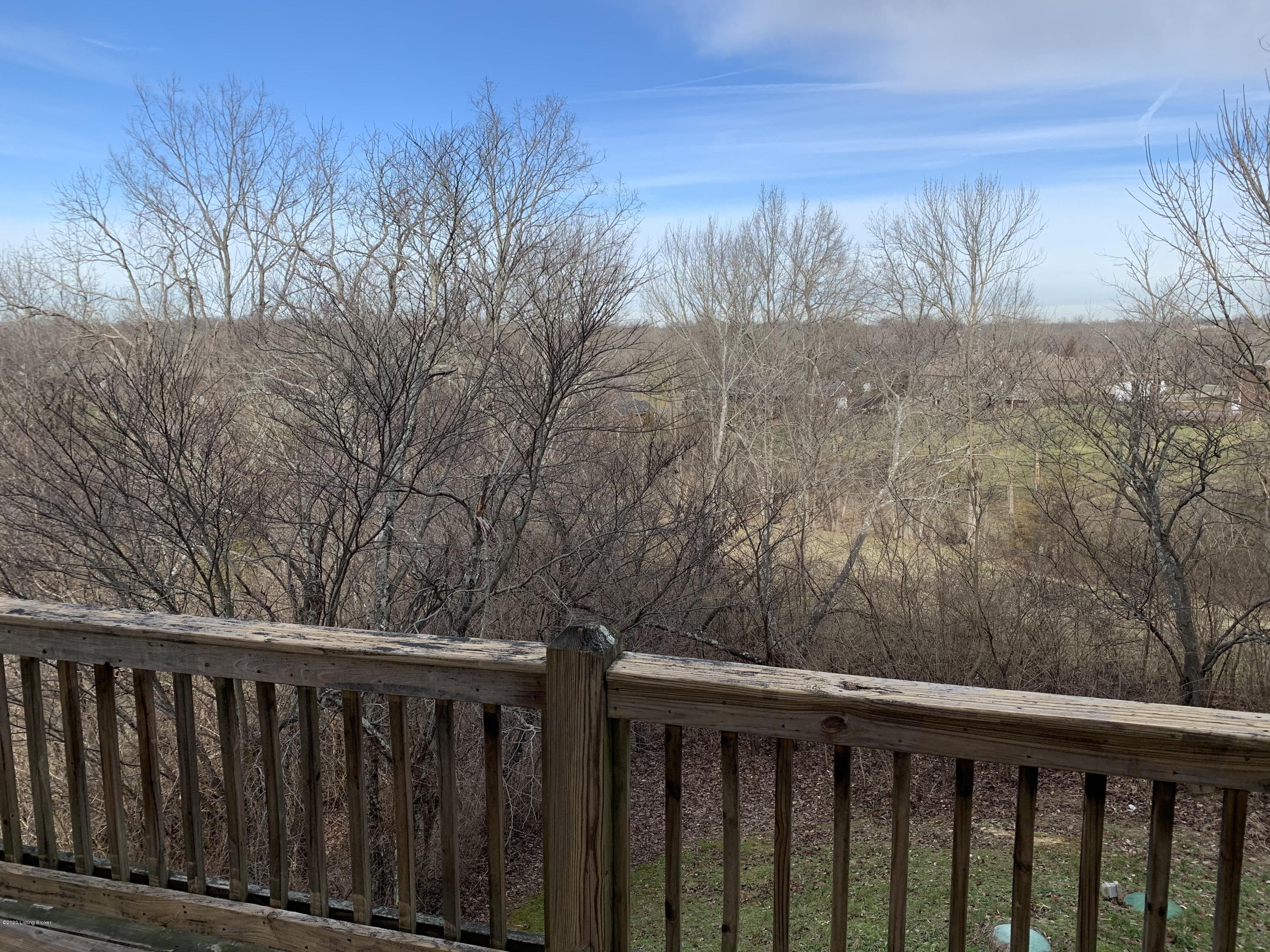22 Cedar Run Road Pendleton, KY 40055 - Photo 28 of 37 view from back deck