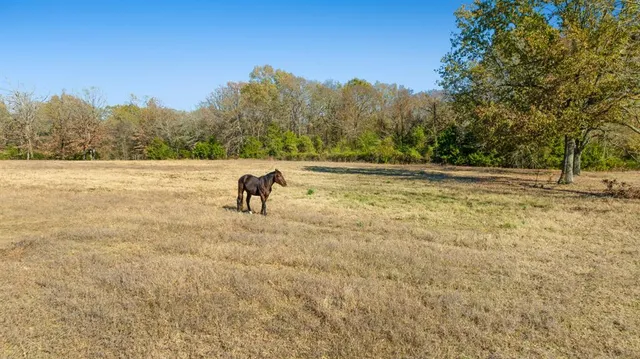 a view of outdoor space with trees