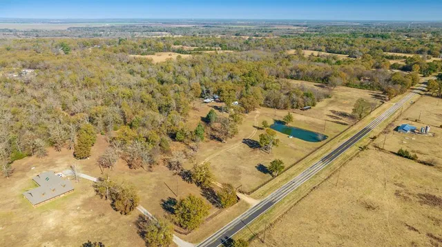 a view of a forest with trees in the background