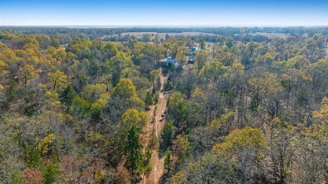 a view of a flower in a yard
