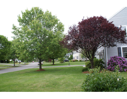 15 South Rindge Avenue Lexington, MA 02420 - Photo 14 of 15 Gallery Image 14