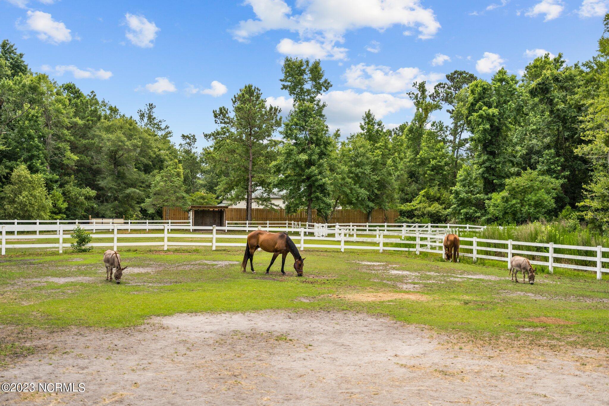 370 Whitebridge Road Hampstead, NC 28443 - Photo 87 of 103 94-web-or-mls-DSC05958
