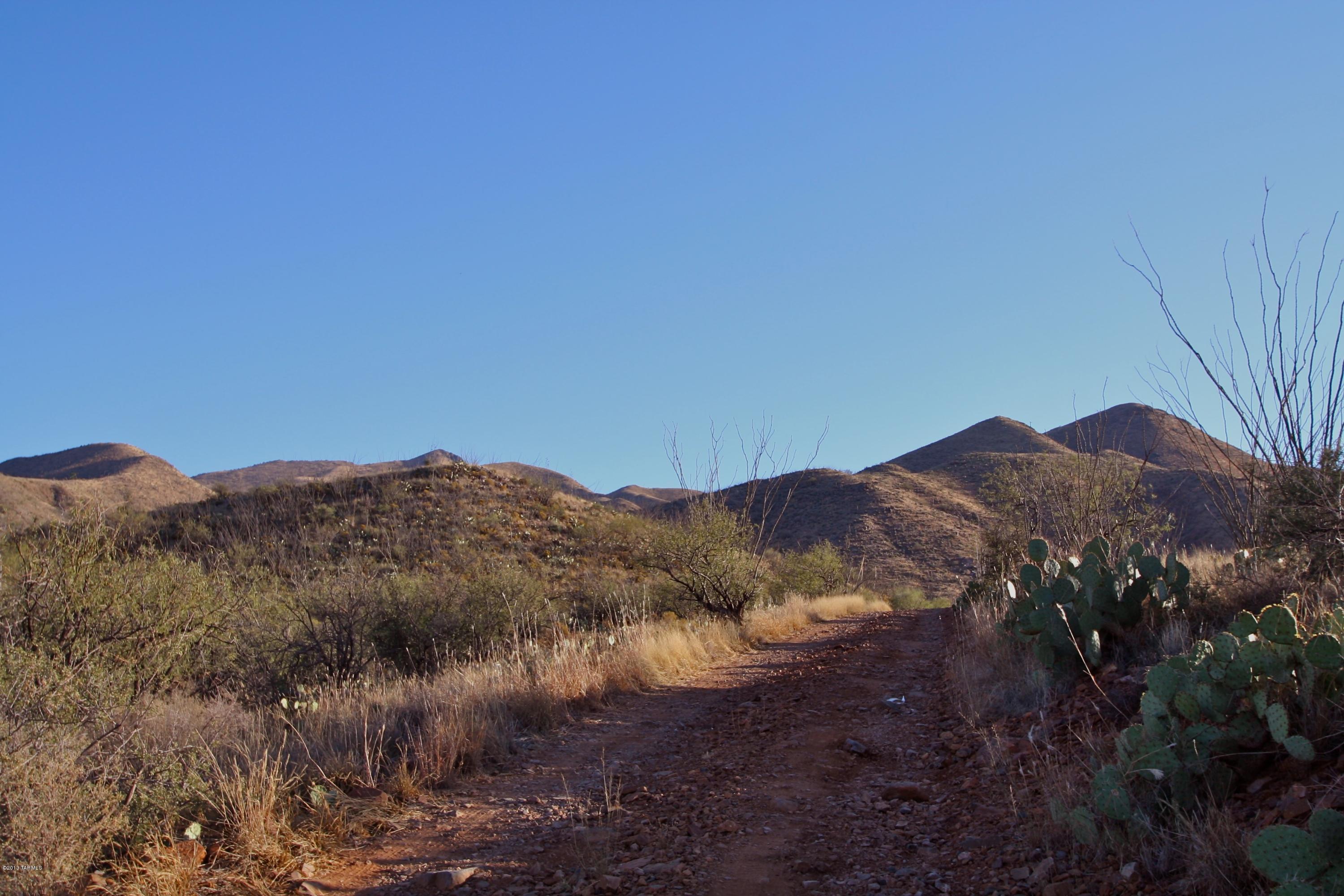 South Little Fawn Vail, AZ 85641 - Photo 5 of 12
