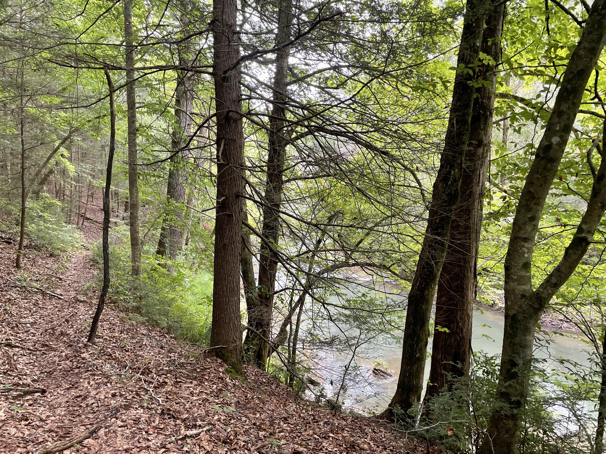 0 Sequatchie Co Line Dunlap, TN 37327 - Photo 1 of 22 Gallery Image 1
