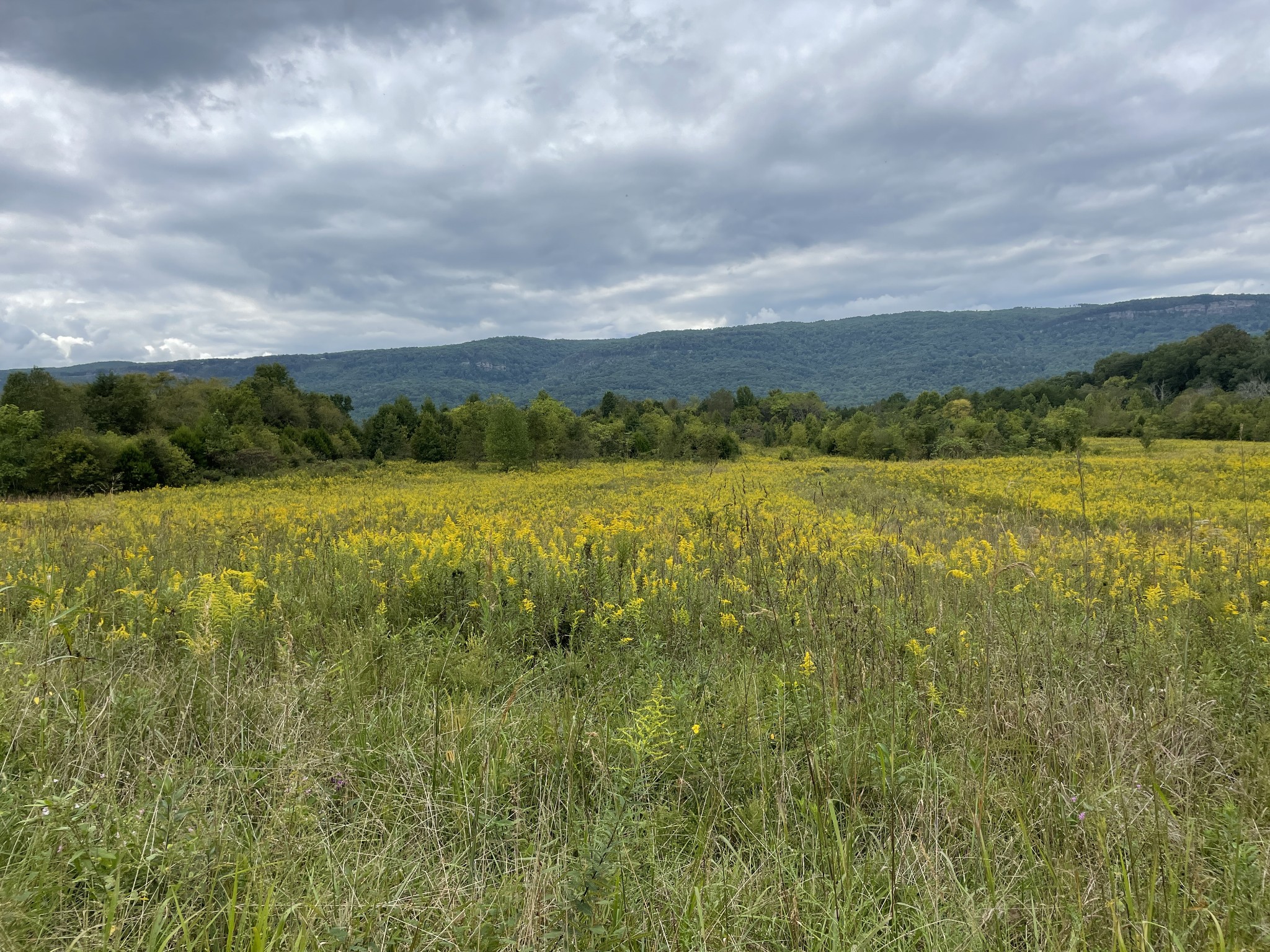 0 Sequatchie Co Line Dunlap, TN 37327 - Photo 11 of 22 Gallery Image 11