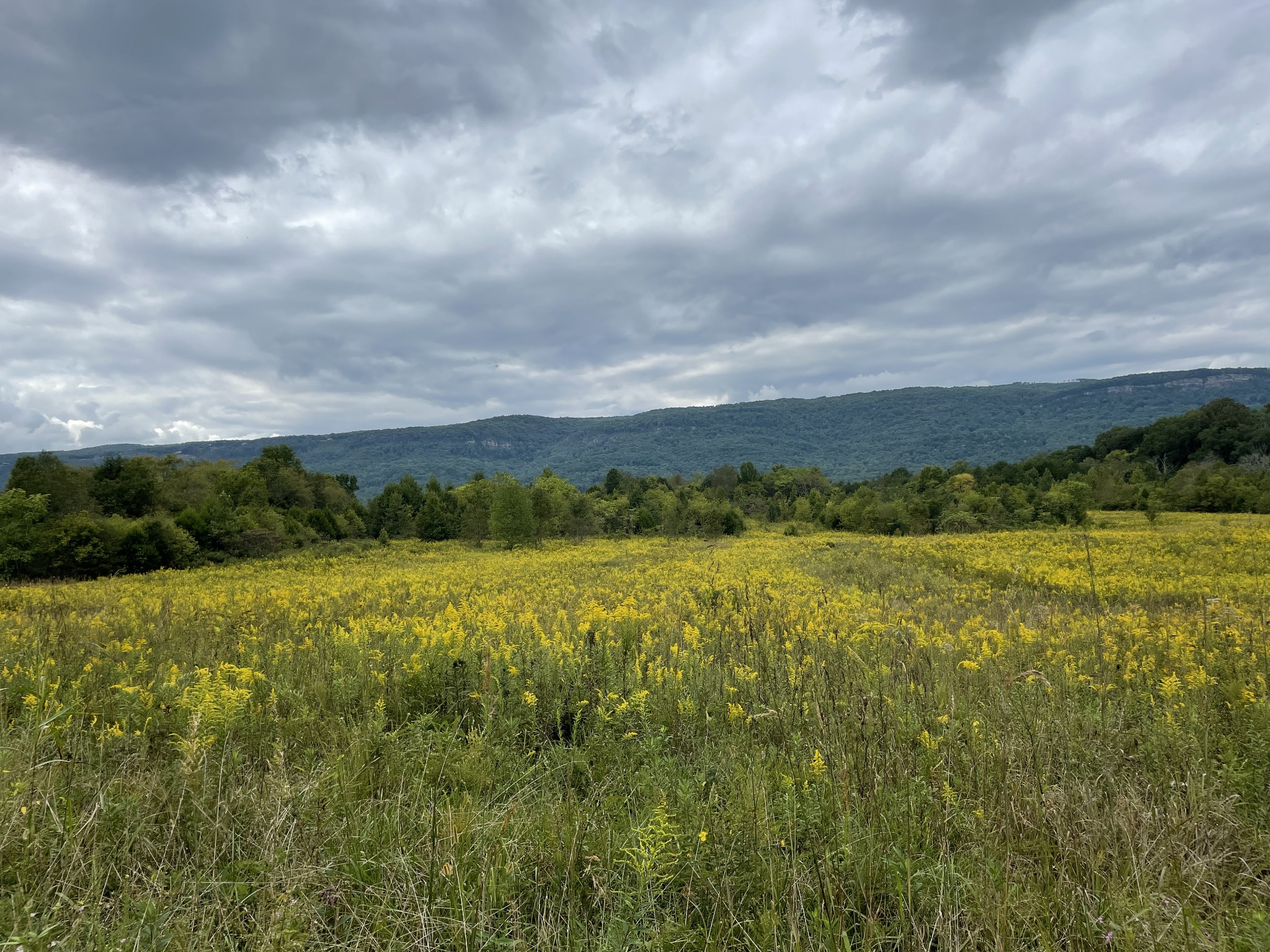 0 Sequatchie Co Line Dunlap, TN 37327 - Photo 17 of 22 Gallery Image 17