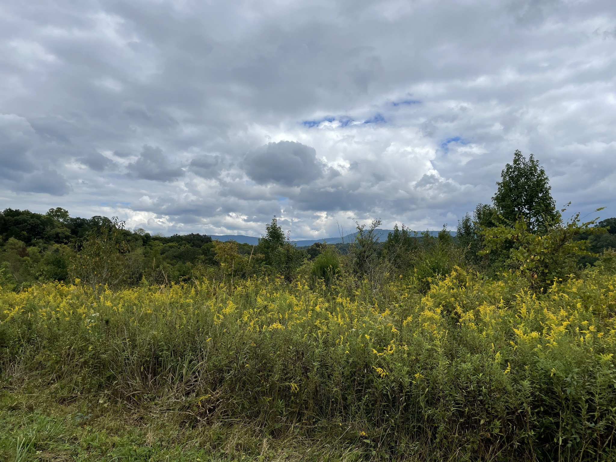 0 Sequatchie Co Line Dunlap, TN 37327 - Photo 19 of 22 Gallery Image 19