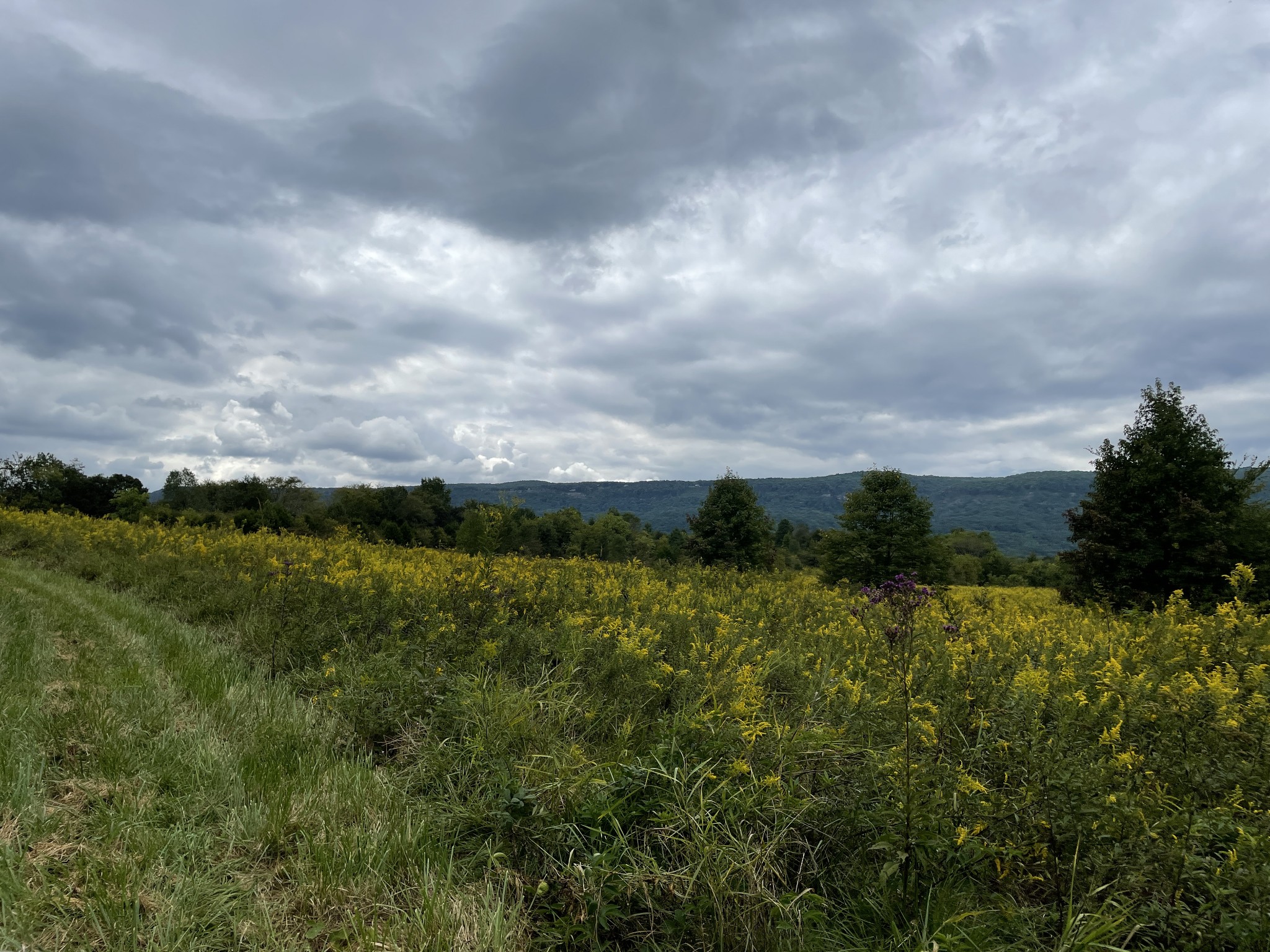 0 Sequatchie Co Line Dunlap, TN 37327 - Photo 2 of 22 Gallery Image 2