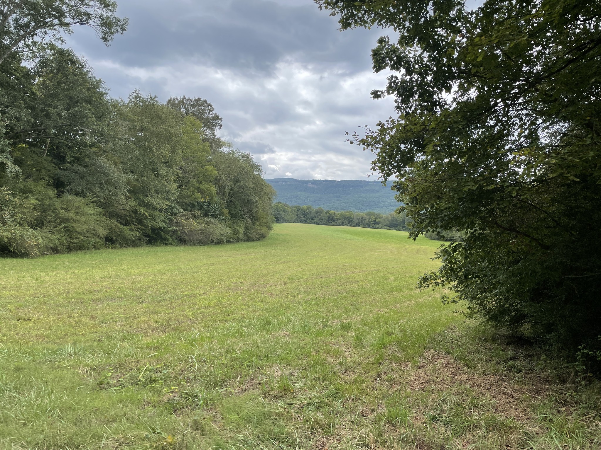 0 Sequatchie Co Line Dunlap, TN 37327 - Photo 3 of 22 Gallery Image 3