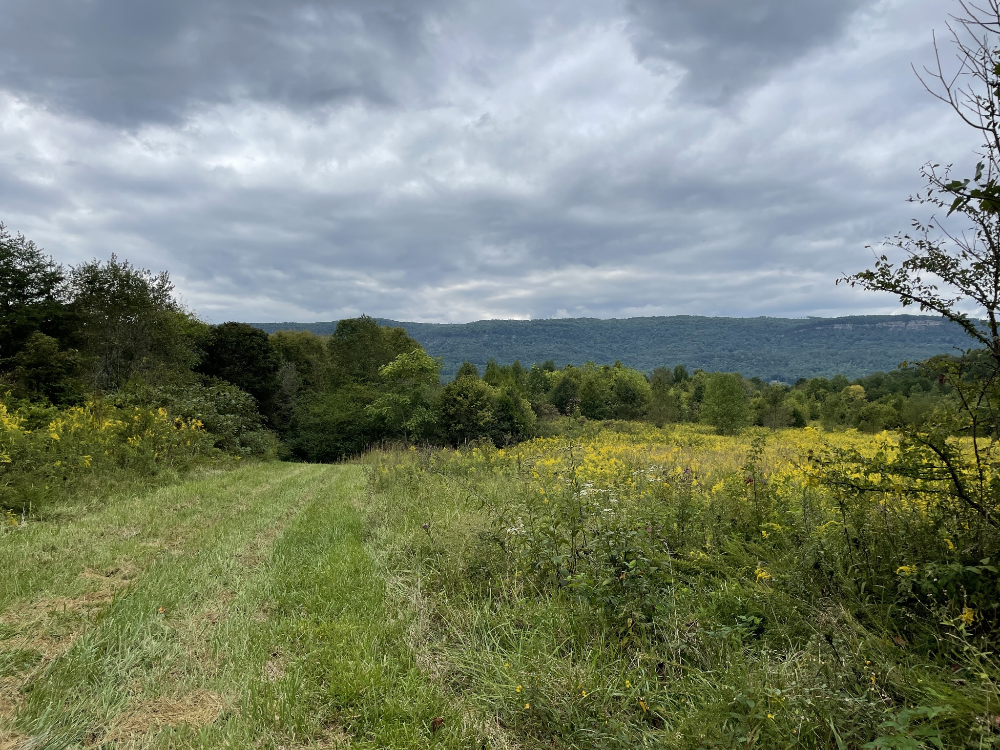 0 Sequatchie Co Line Dunlap, TN 37327 - Photo 5 of 22 Gallery Image 5