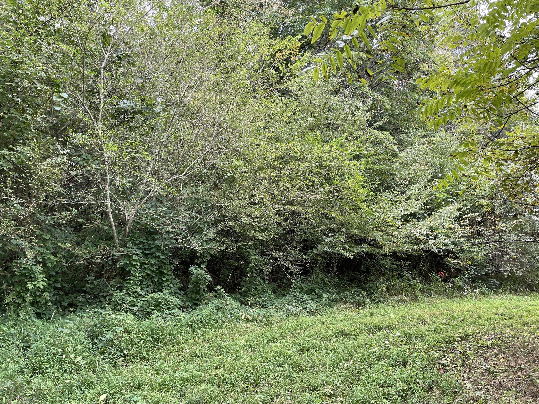 0 Sequatchie Co Line Dunlap, TN 37327 - Photo 6 of 22 Gallery Image 6