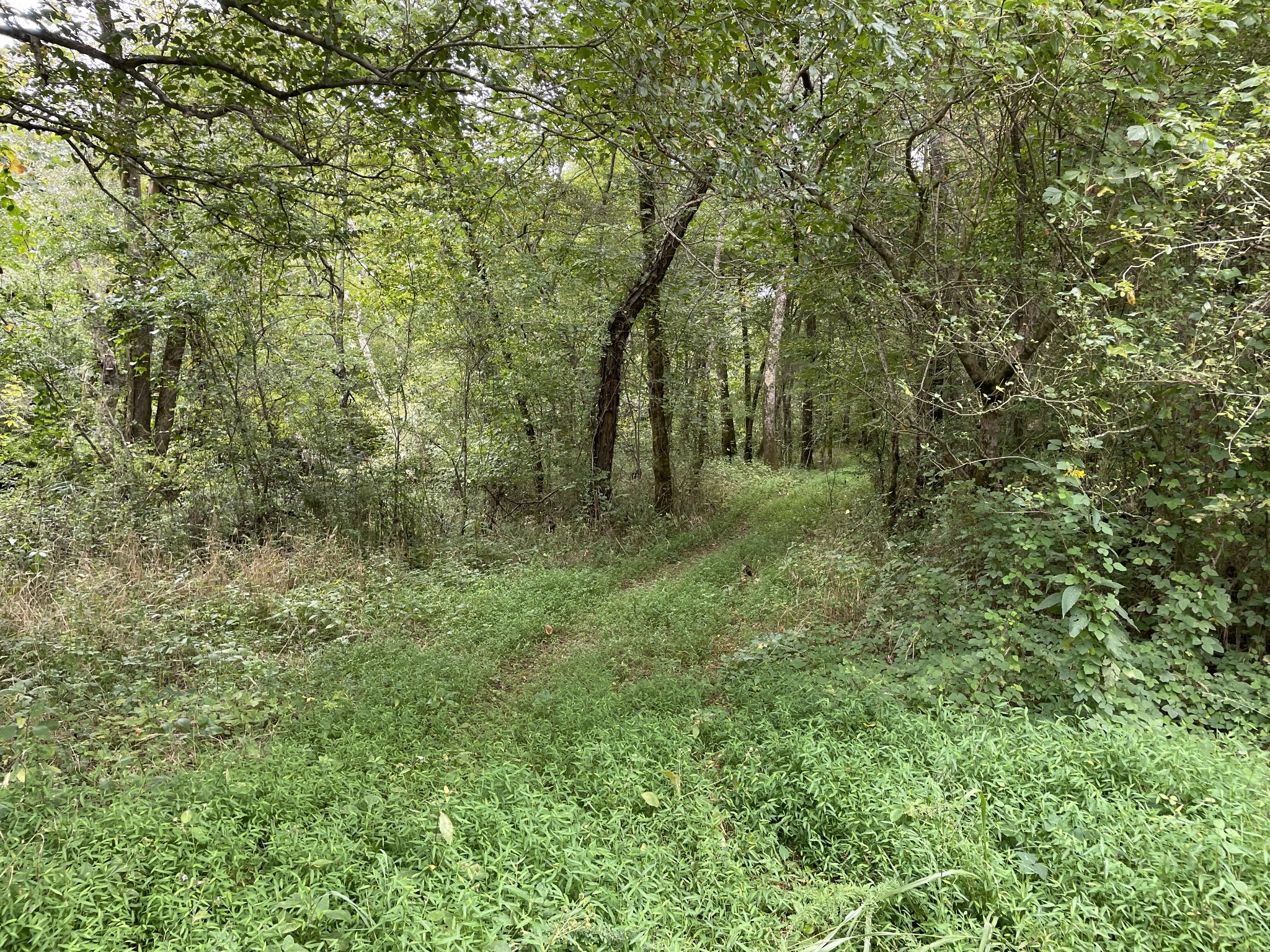 0 Sequatchie Co Line Dunlap, TN 37327 - Photo 7 of 22 Gallery Image 7