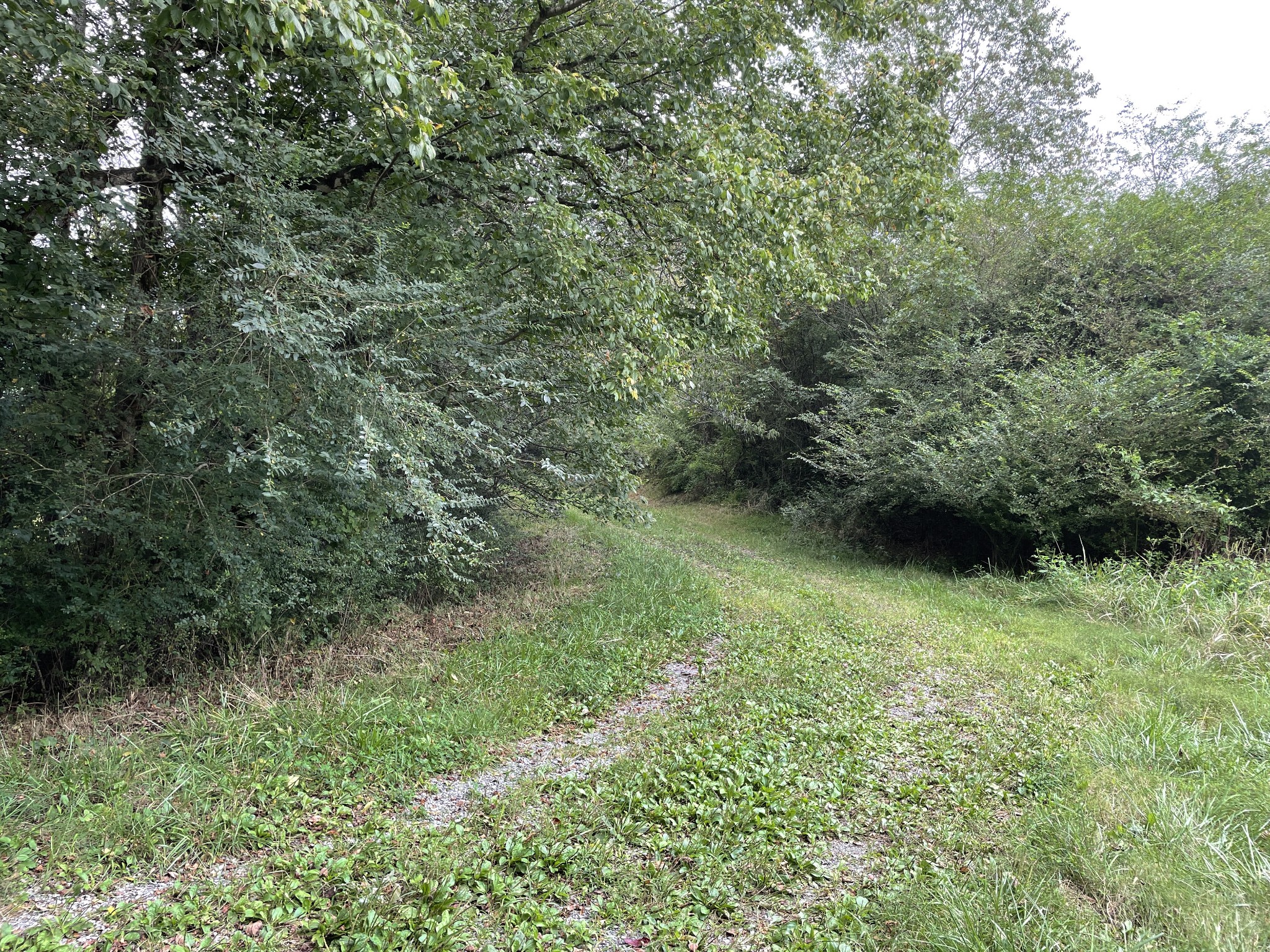 0 Sequatchie Co Line Dunlap, TN 37327 - Photo 8 of 22 Gallery Image 8
