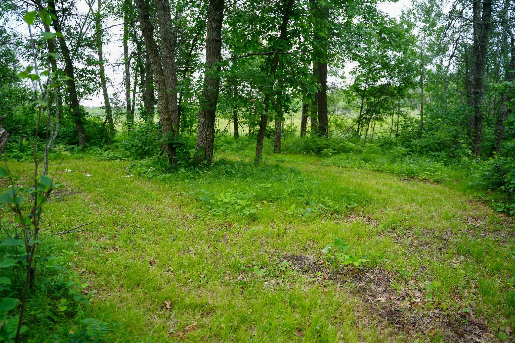 25820 County Road 26 Sebeka, MN 56477 - Photo 24 of 103