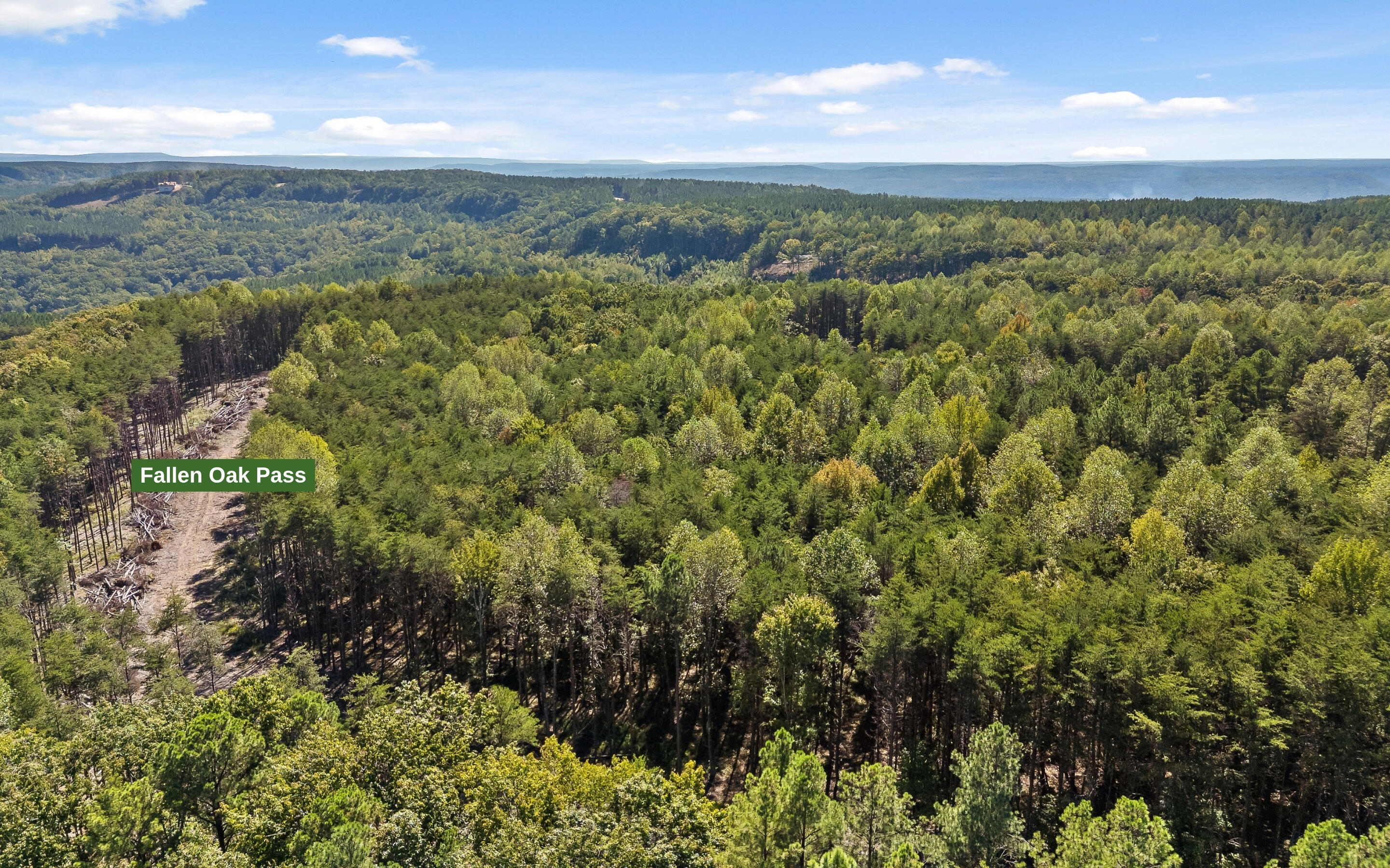 Lot 2160 Fallen Oak Pass Guild, TN 37340 - Photo 8 of 22 Lot 2160 Fallen Oak Pass