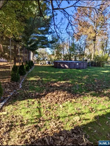 a view of a yard with plants and trees