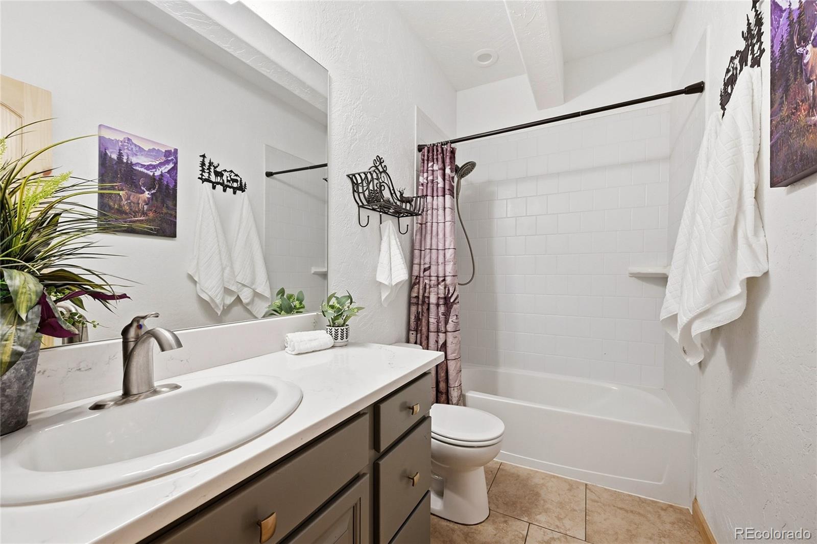 705 Gold Flake Terrace Bailey, CO 80421 - Photo 29 of 48