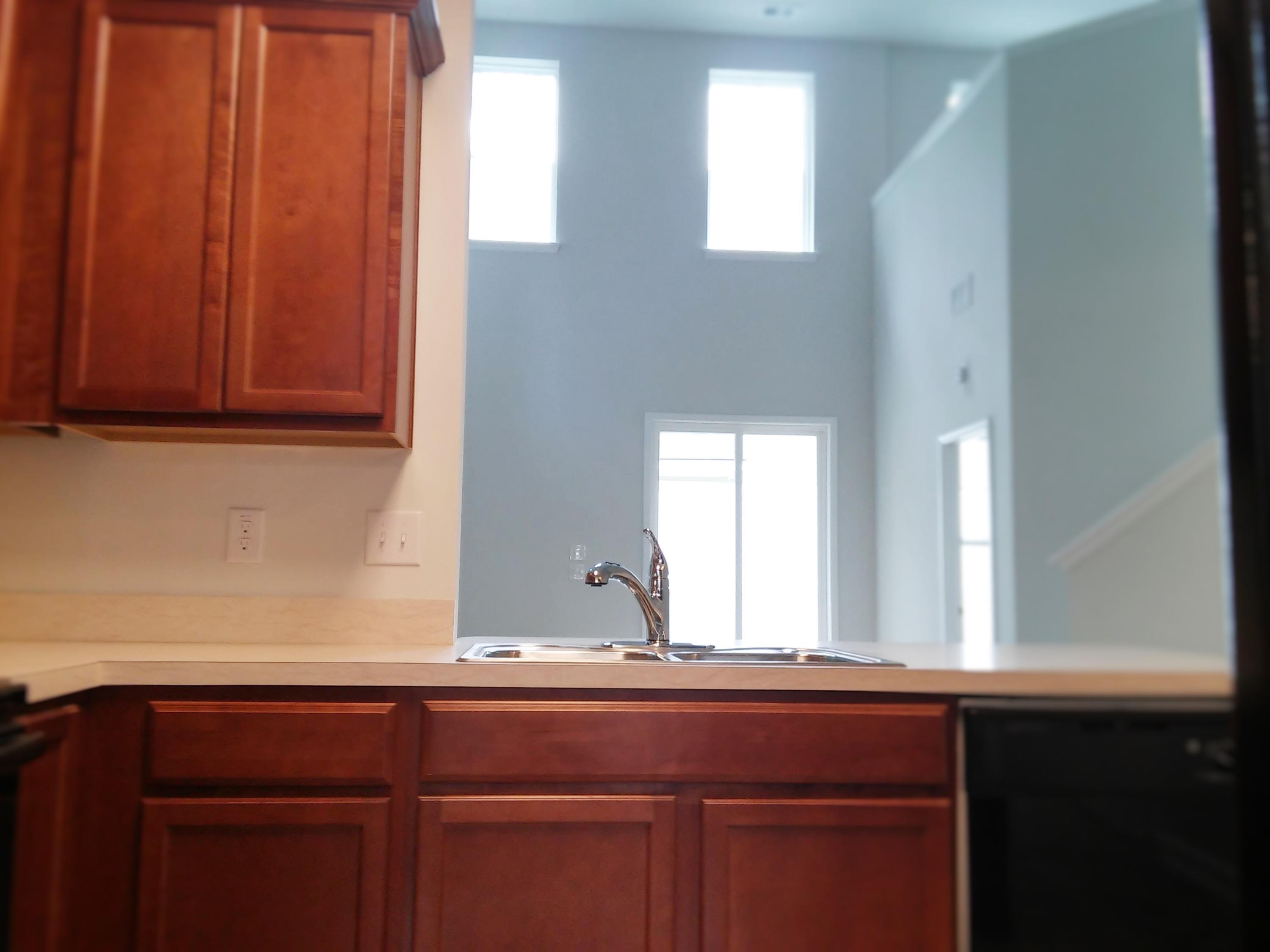 4854 Rocking Porch Lane Summerville, SC 29485 - Photo 4 of 29 Marion