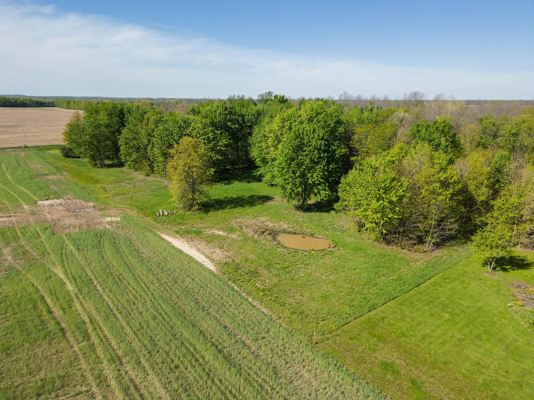5387 Dildine Road Delaware, OH 43015 - Photo 29 of 37 48