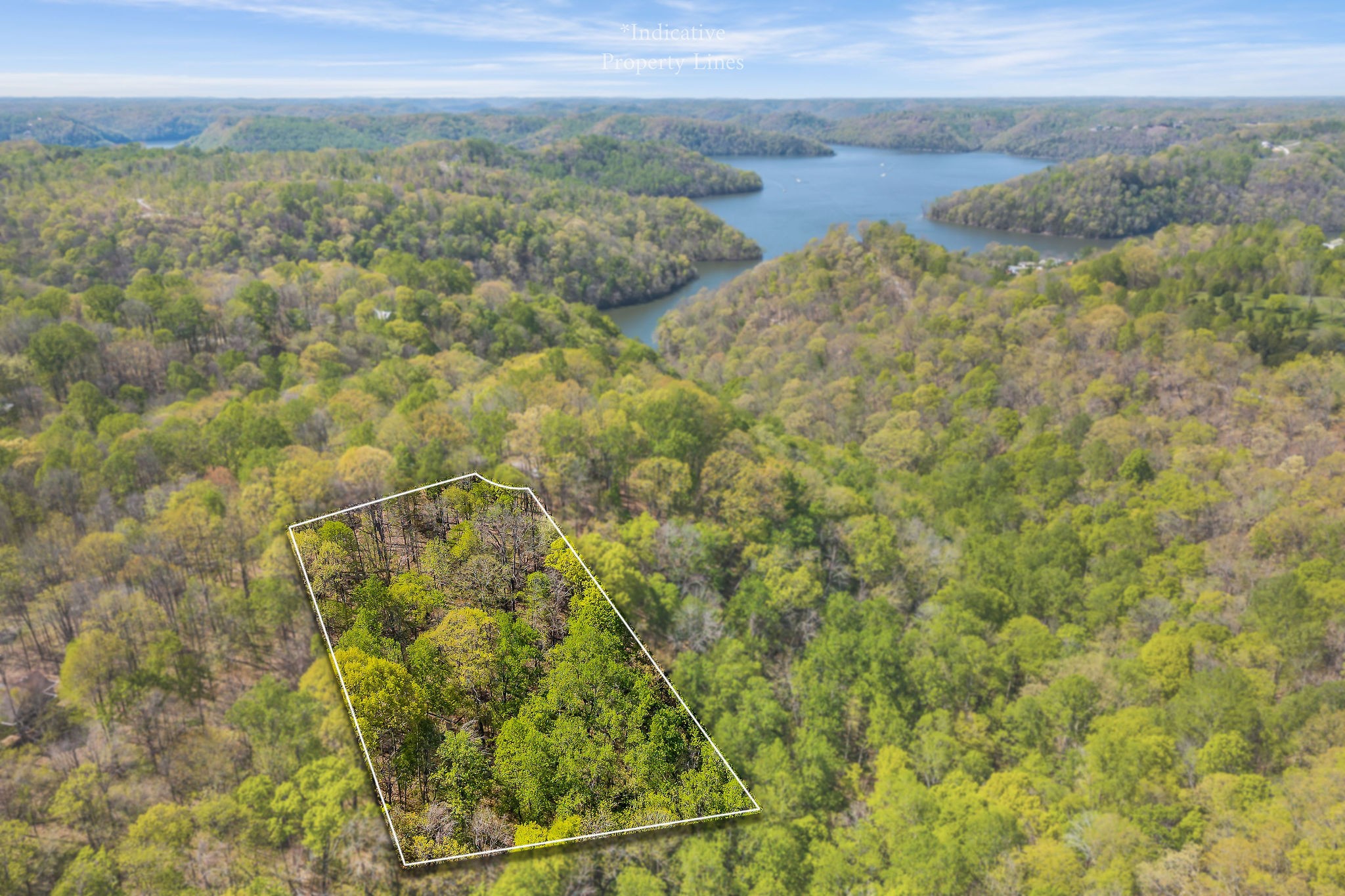 29 Poplar Point Road Sparta, TN 38583 - Photo 2 of 8 a view of a bunch of trees and bushes