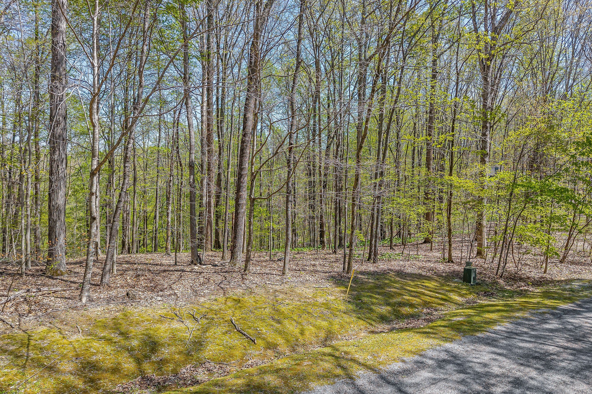 29 Poplar Point Road Sparta, TN 38583 - Photo 3 of 8 a view of swimming pool with lawn chairs and wooden fence