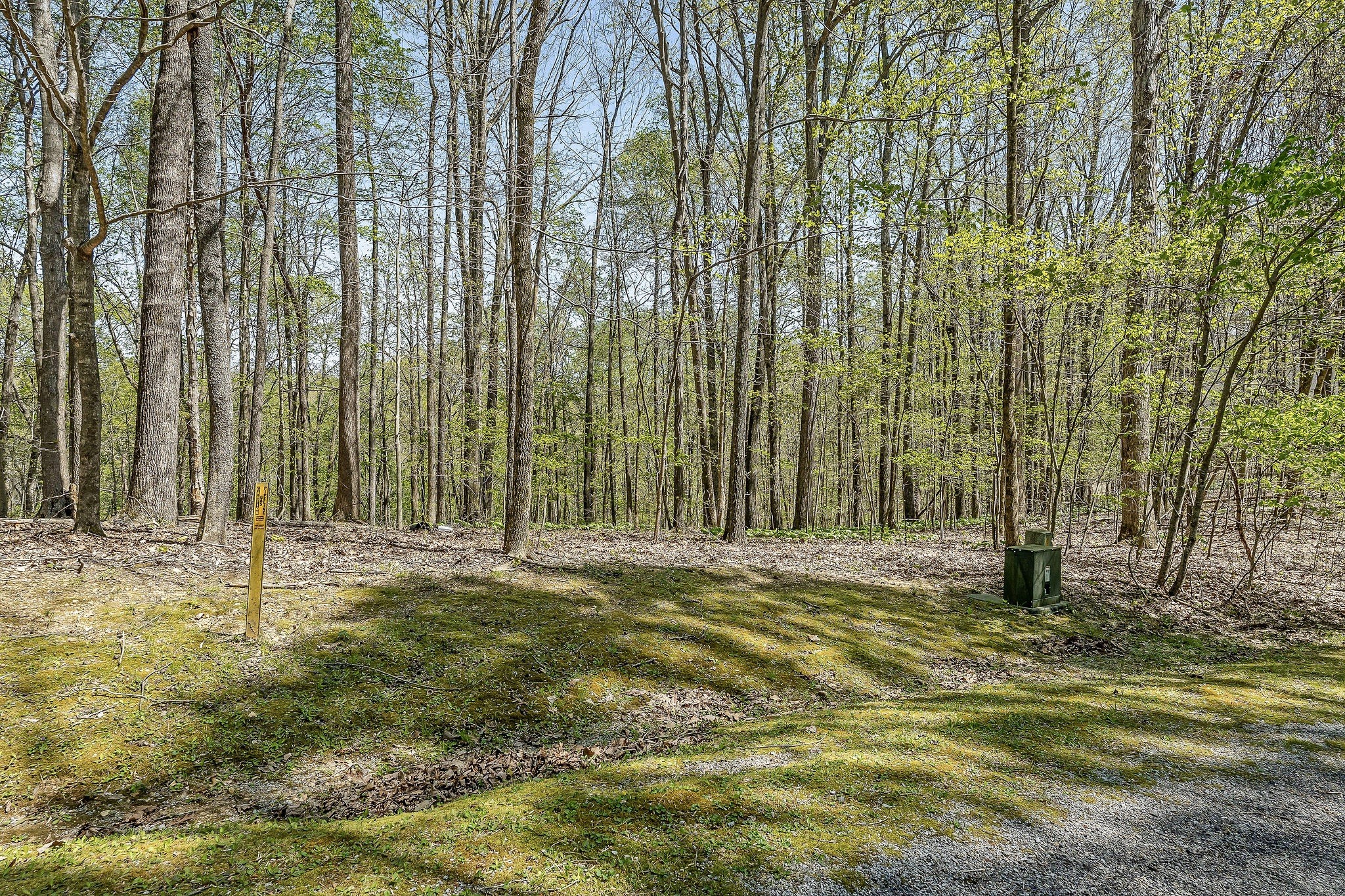 29 Poplar Point Road Sparta, TN 38583 - Photo 4 of 8 a swimming pool with trees in the background