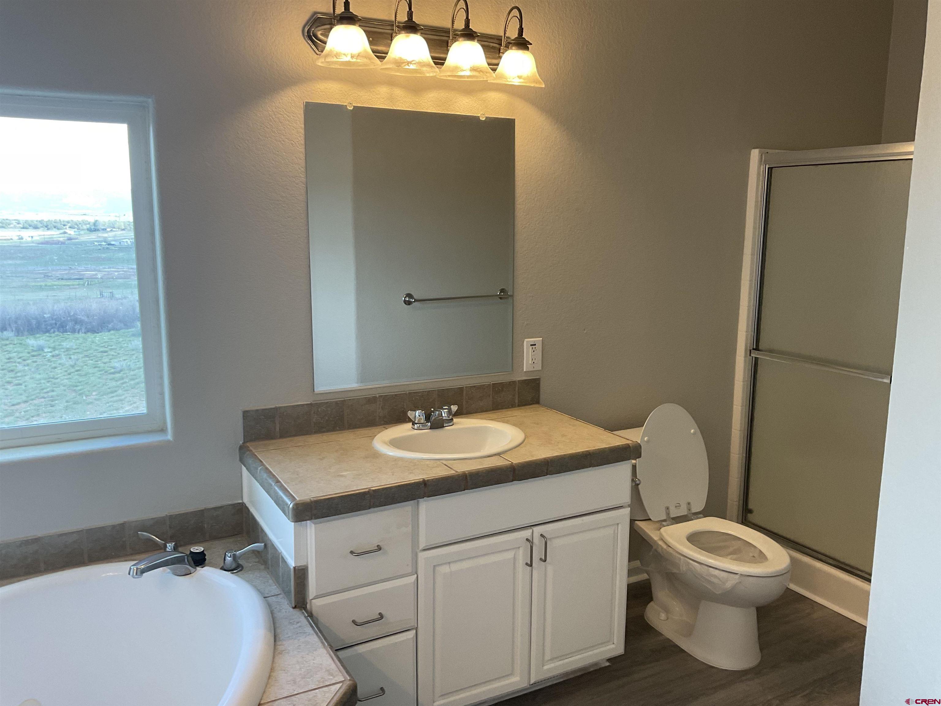 428 County Road 314 Ignacio, CO 81137 - Photo 21 of 24 a bathroom with a granite countertop sink toilet a mirror and a shower