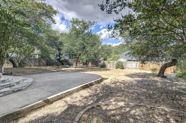 a view of a yard with plants and trees