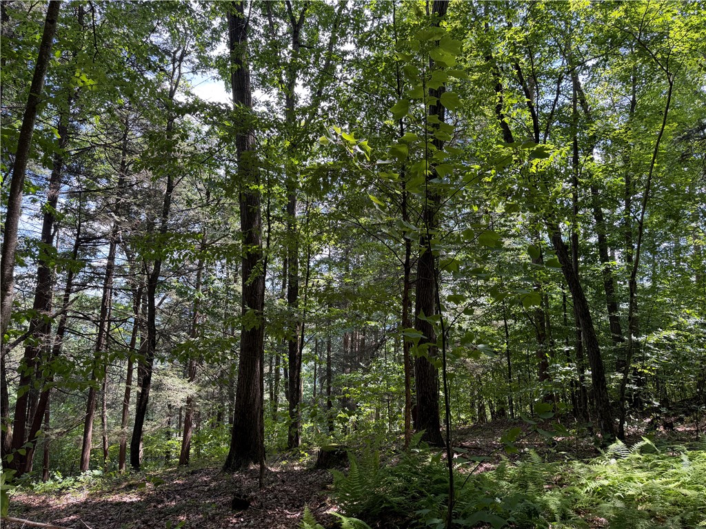 Vl Catatunk Road, Unit R Canisteo, NY 14823 - Photo 38 of 50