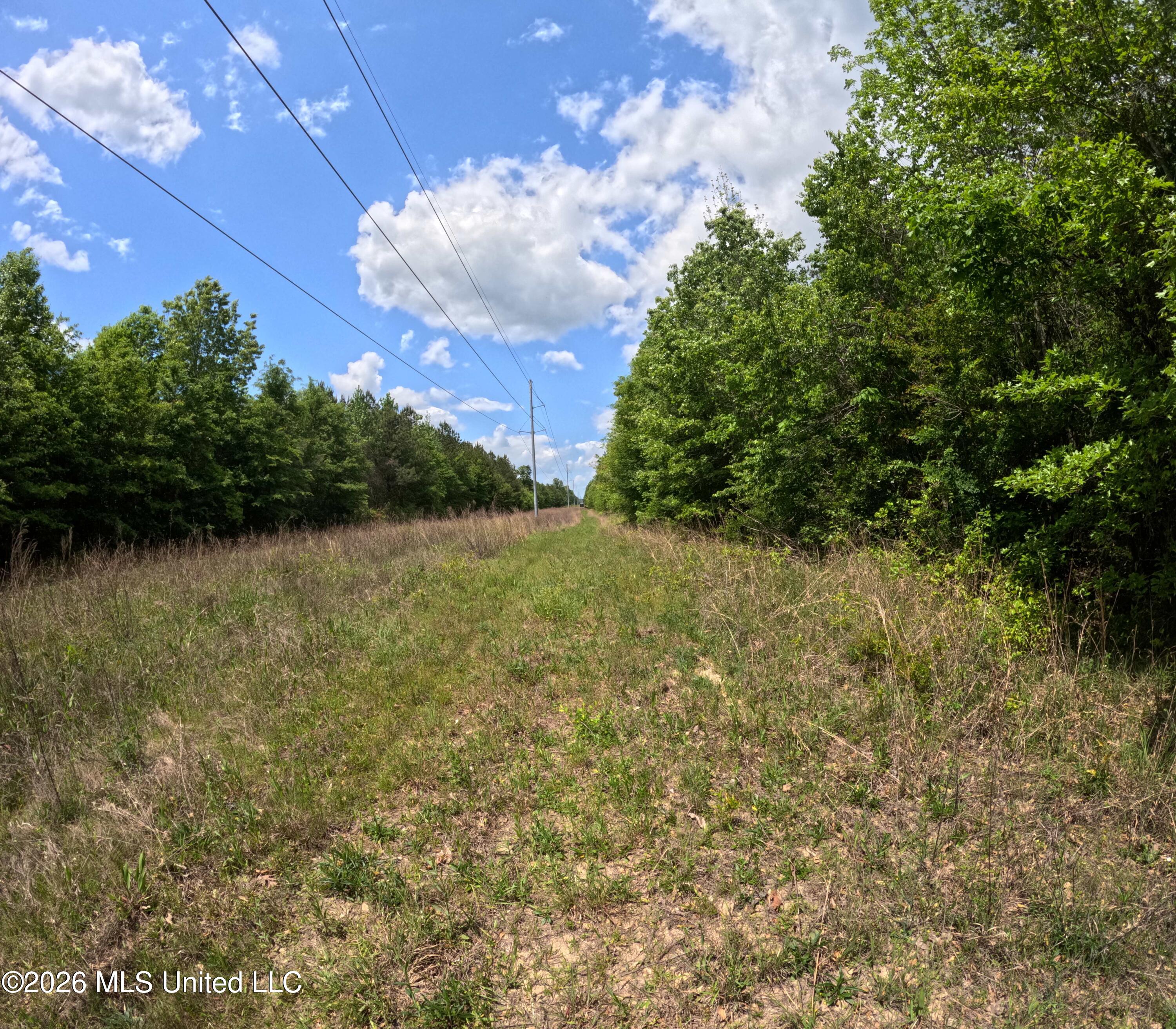 Christian Hts Road Braxton, MS 39044 - Photo 27 of 36 GOPR0961
