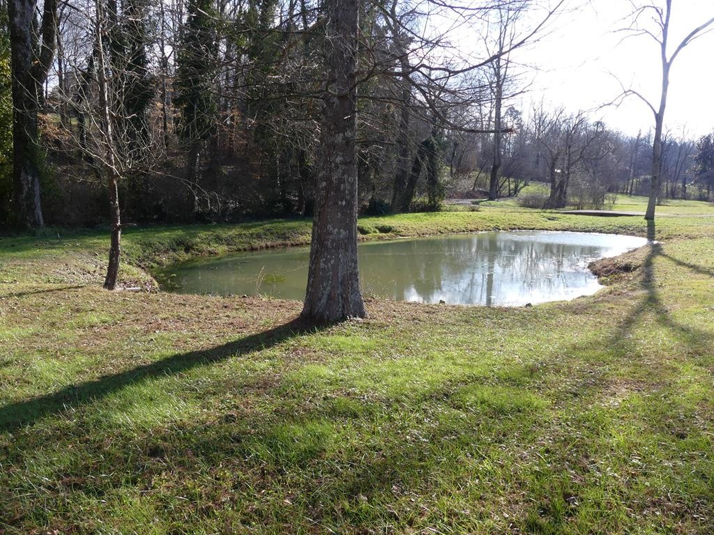 1219 Cedar Springs Road Athens, TN 37303 - Photo 49 of 51 Gallery Image 49