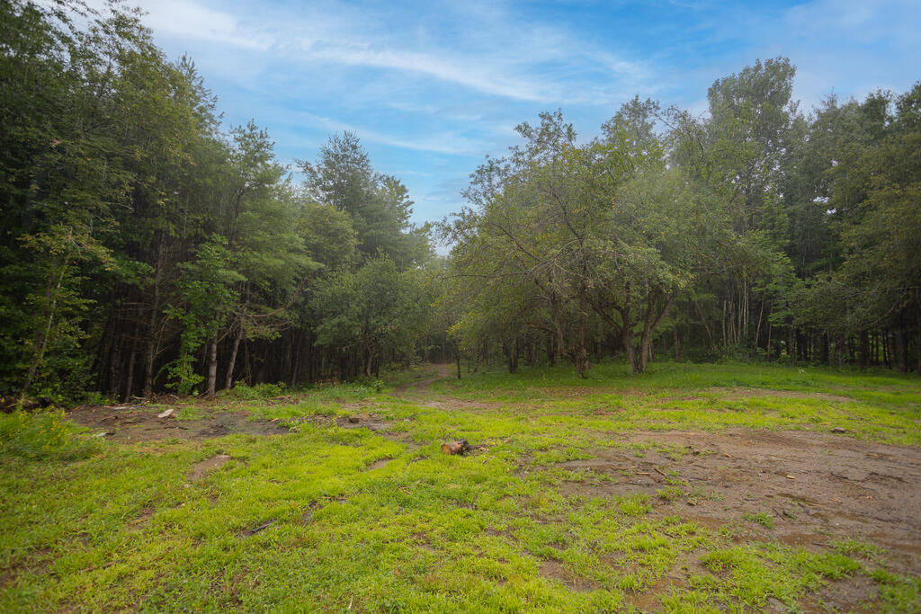 229 Morse Hill Road Jay, ME 04239 - Photo 32 of 35 sandy-river-realty-33