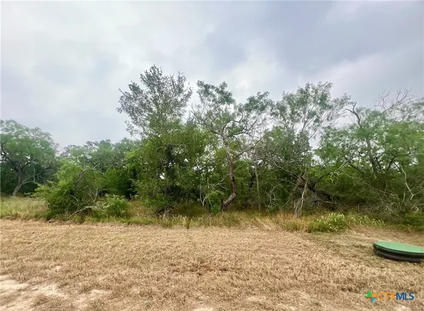 $59,999 | Lot 9 Wisteria Lane, Nixon, TX 78140