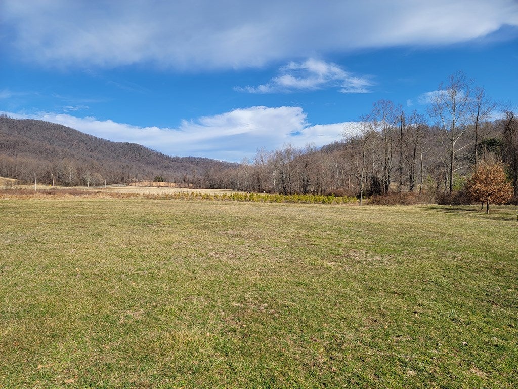 12306 Callaway Road Callaway, VA 24067 - Photo 4 of 53 Gallery Image 4