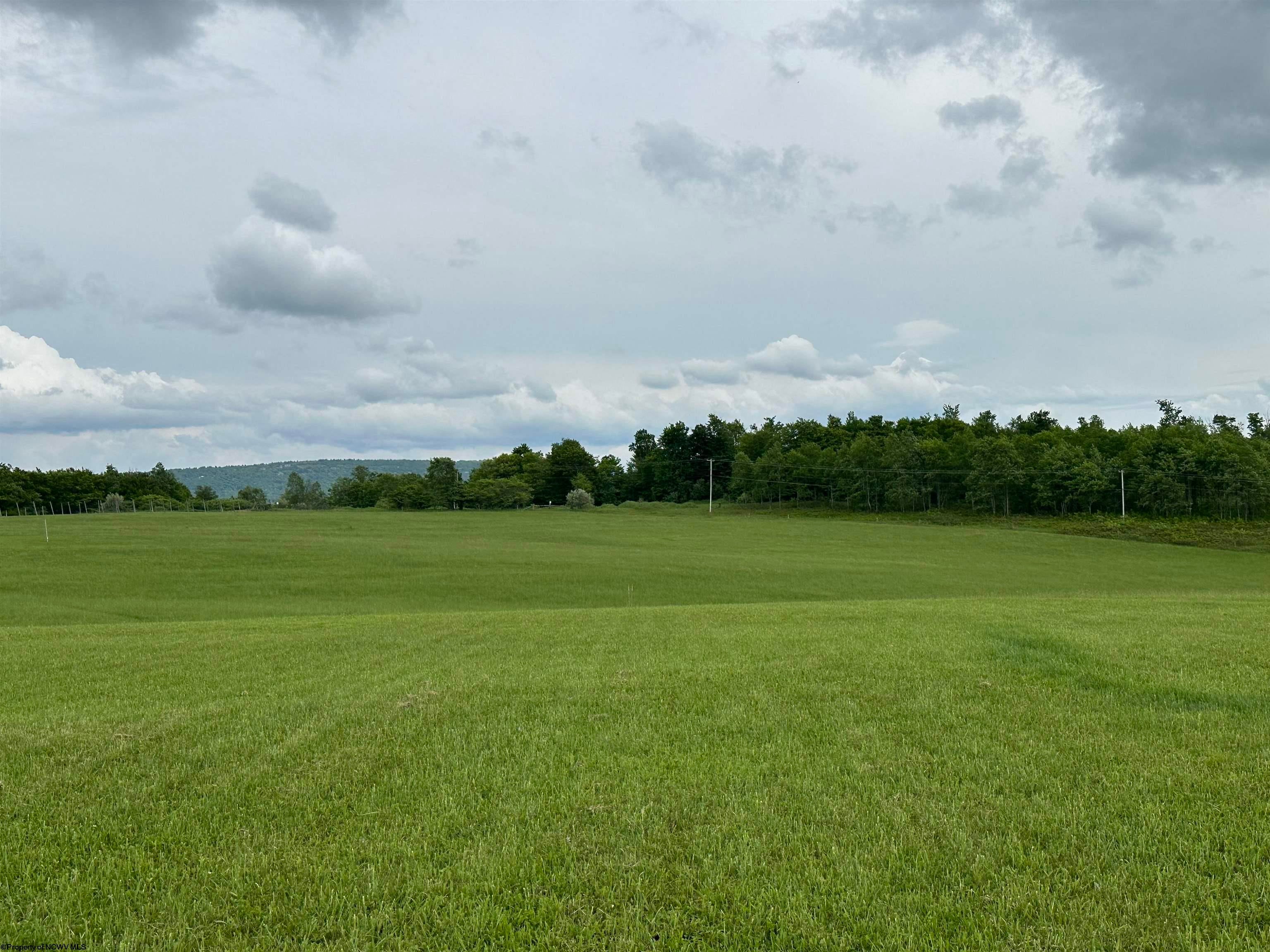 Lot 59 View Ridge Davis, WV 26260 - Photo 9 of 19 Gallery Image 9