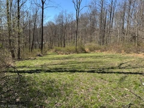 True Road Southeast Dennison, OH 44621 - Photo 1 of 9