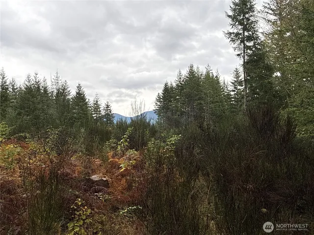 a view of a city with lush green forest
