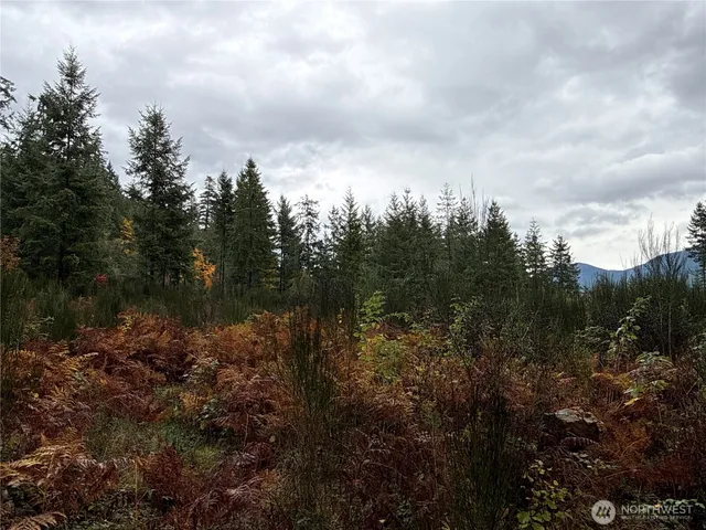 a view of a lake with trees in the background