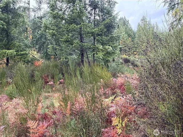 a view of a lake with a tree