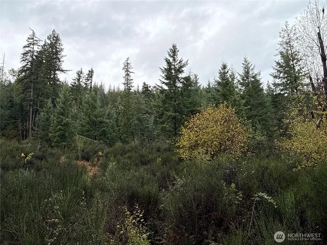 a view of a city and lush green forest