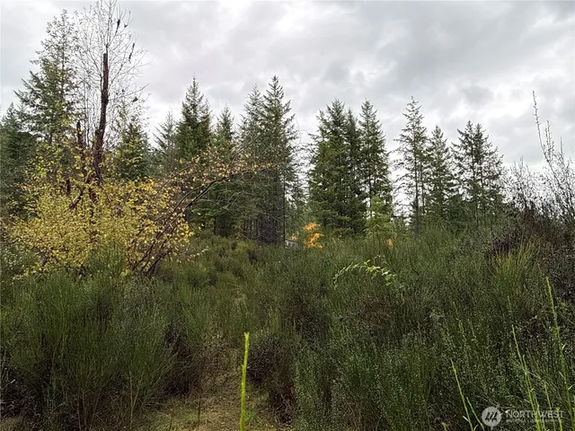 a view of a city with lush green forest
