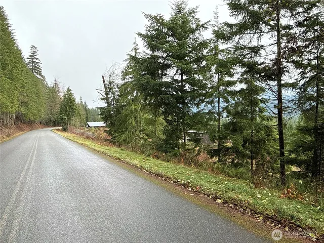 a view of a yard with trees