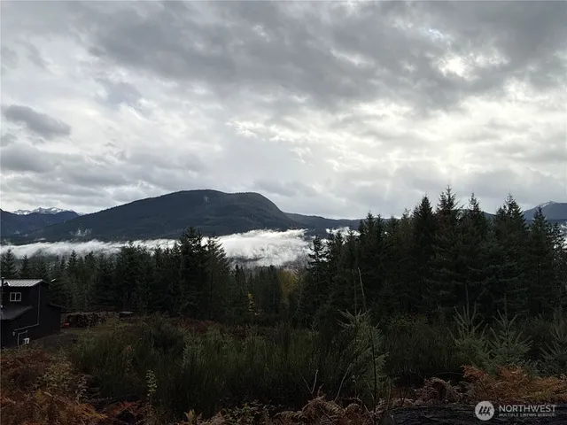 a view of a city with lush green forest
