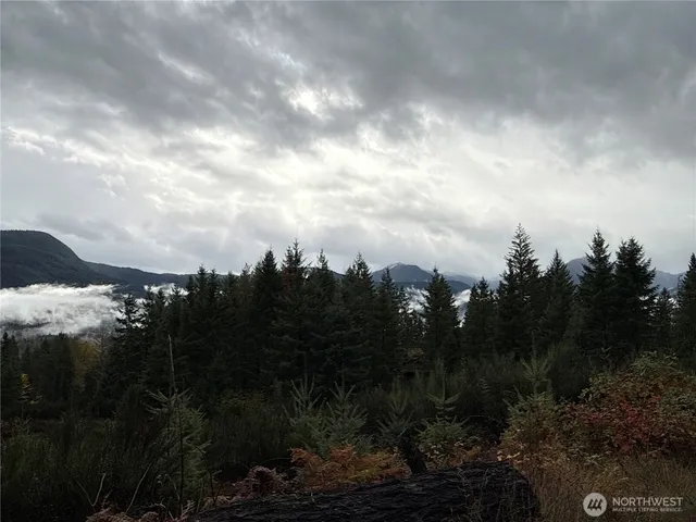 a view of city and green space