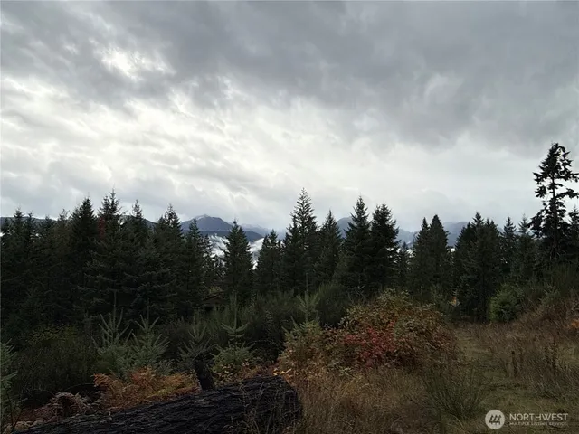 a view of a city with lush green forest