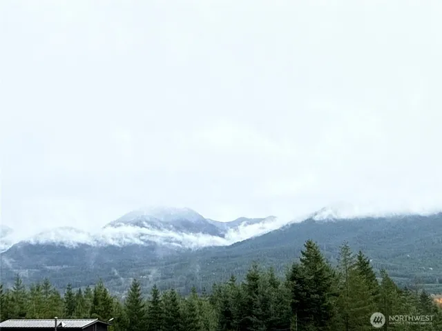 an aerial view of houses covered in trees